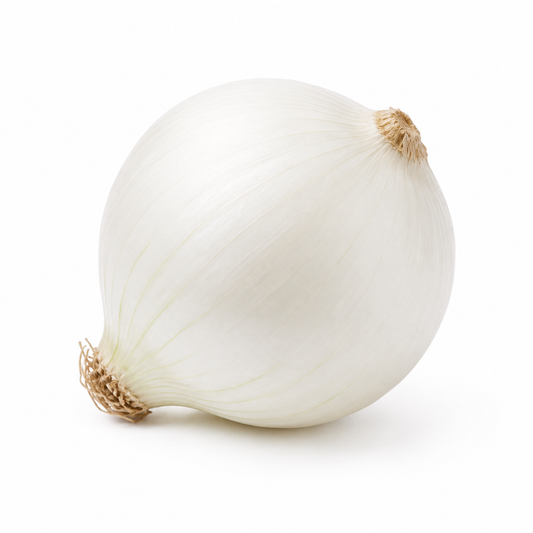 Onion White Seeds – Desi Variety | Pyaz/Vengayam | High Germination for Home Gardening - Vanashree Organics