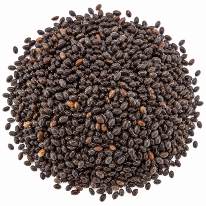 Basil microgreen seeds 10g pack – non-GMO, high germination | Vanashree Organics