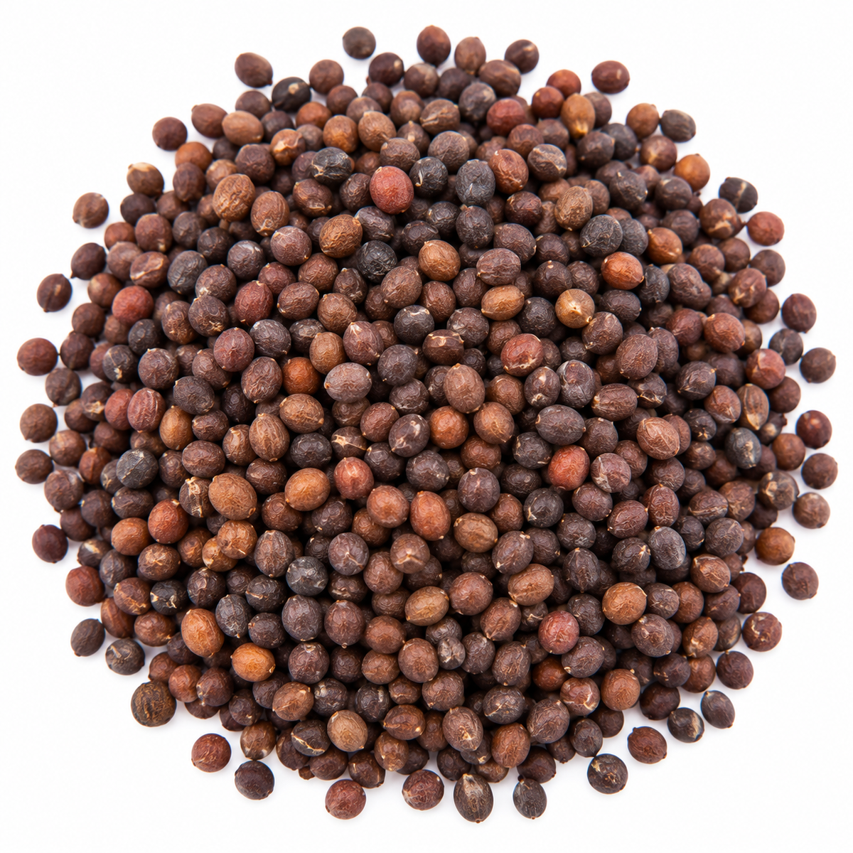 Cauliflower microgreen seeds 10g pack – non-GMO, high germination | Vanashree Organics