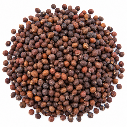 Cauliflower microgreen seeds 10g pack – non-GMO, high germination | Vanashree Organics