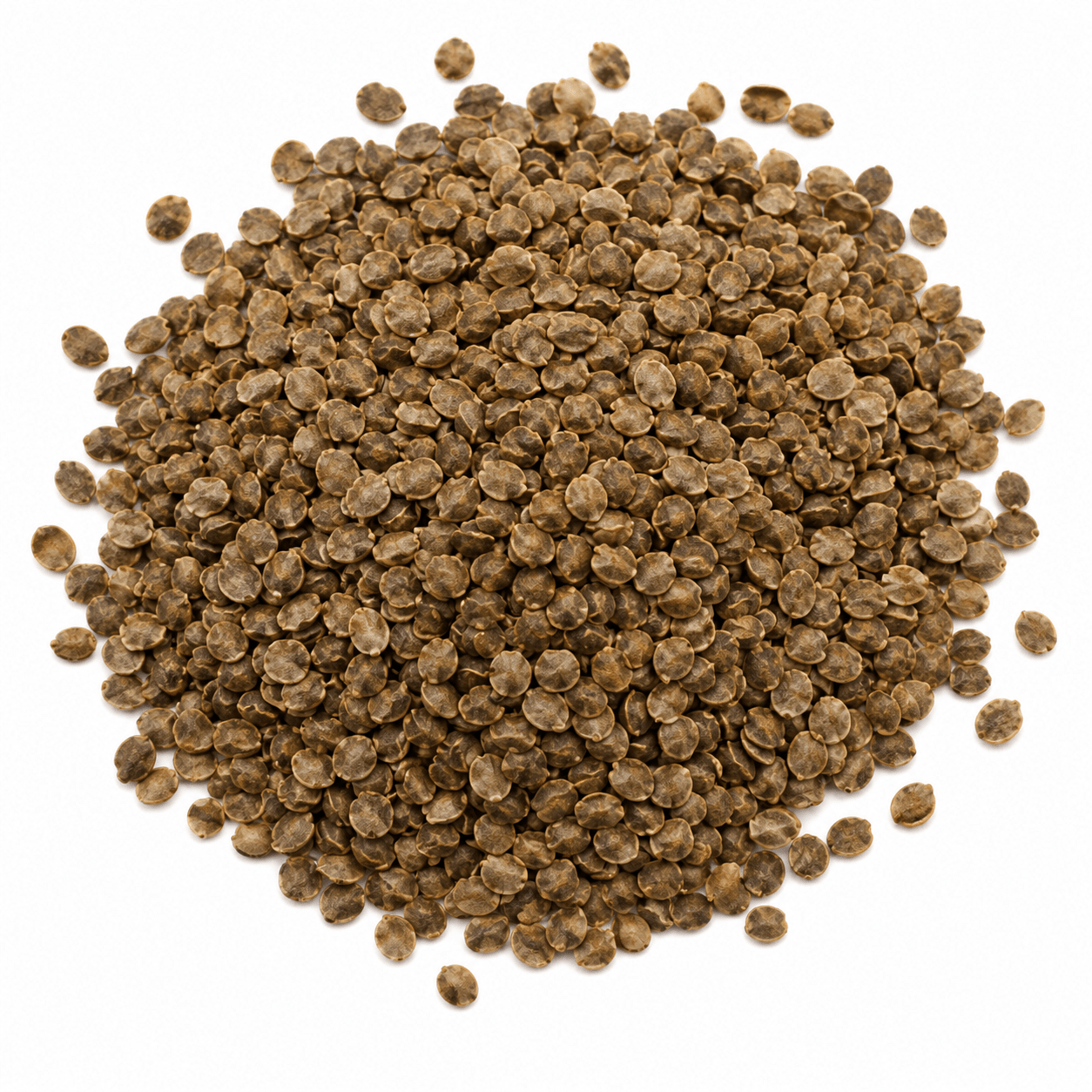 Henna Seeds (Gorintaku/Mehendi) – Desi Variety for Natural Mehendi & Hair Care - Vanashree Organics