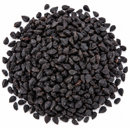 Onion microgreen seeds 10g pack – non-GMO, high germination | Vanashree Organics