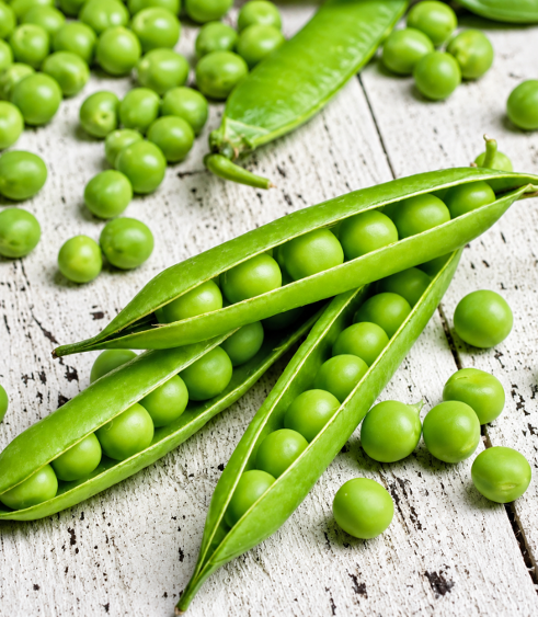 Pea (Batani) Seeds for Home Sowing