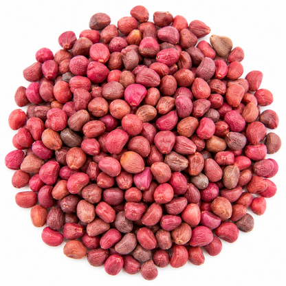 Pink radish microgreen seeds 10g pack – non-GMO, high germination | Vanashree Organics