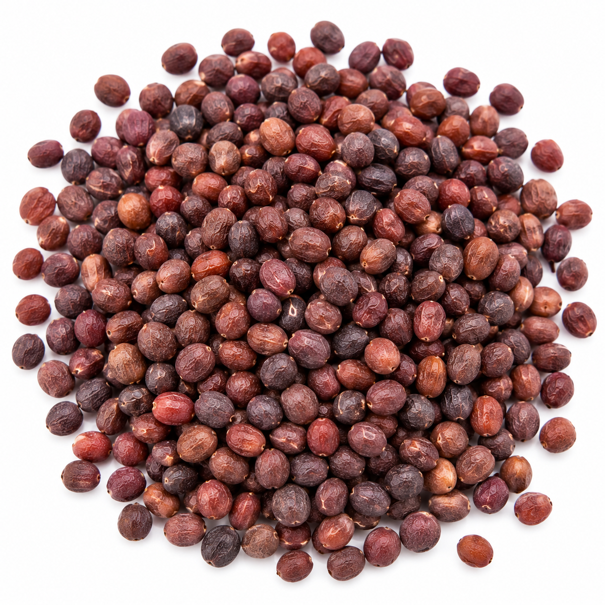 Purple radish microgreen seeds 10g pack – non-GMO, high germination | Vanashree Organics