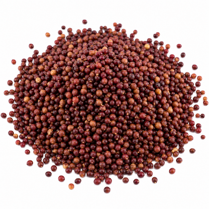 Red amaranth microgreen seeds 10g pack – non-GMO, high germination | Vanashree Organics