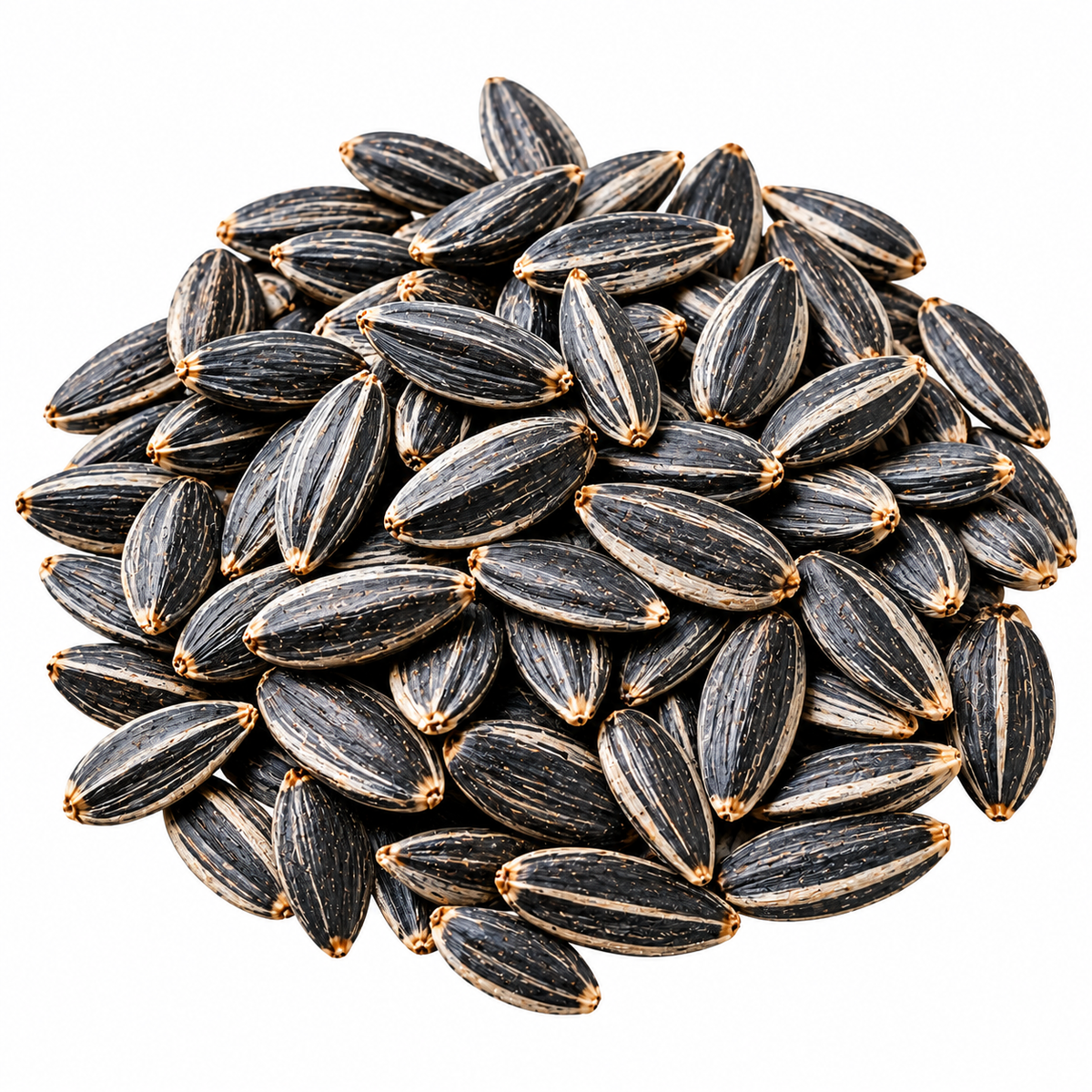 Sunflower microgreens seeds, 10g pack