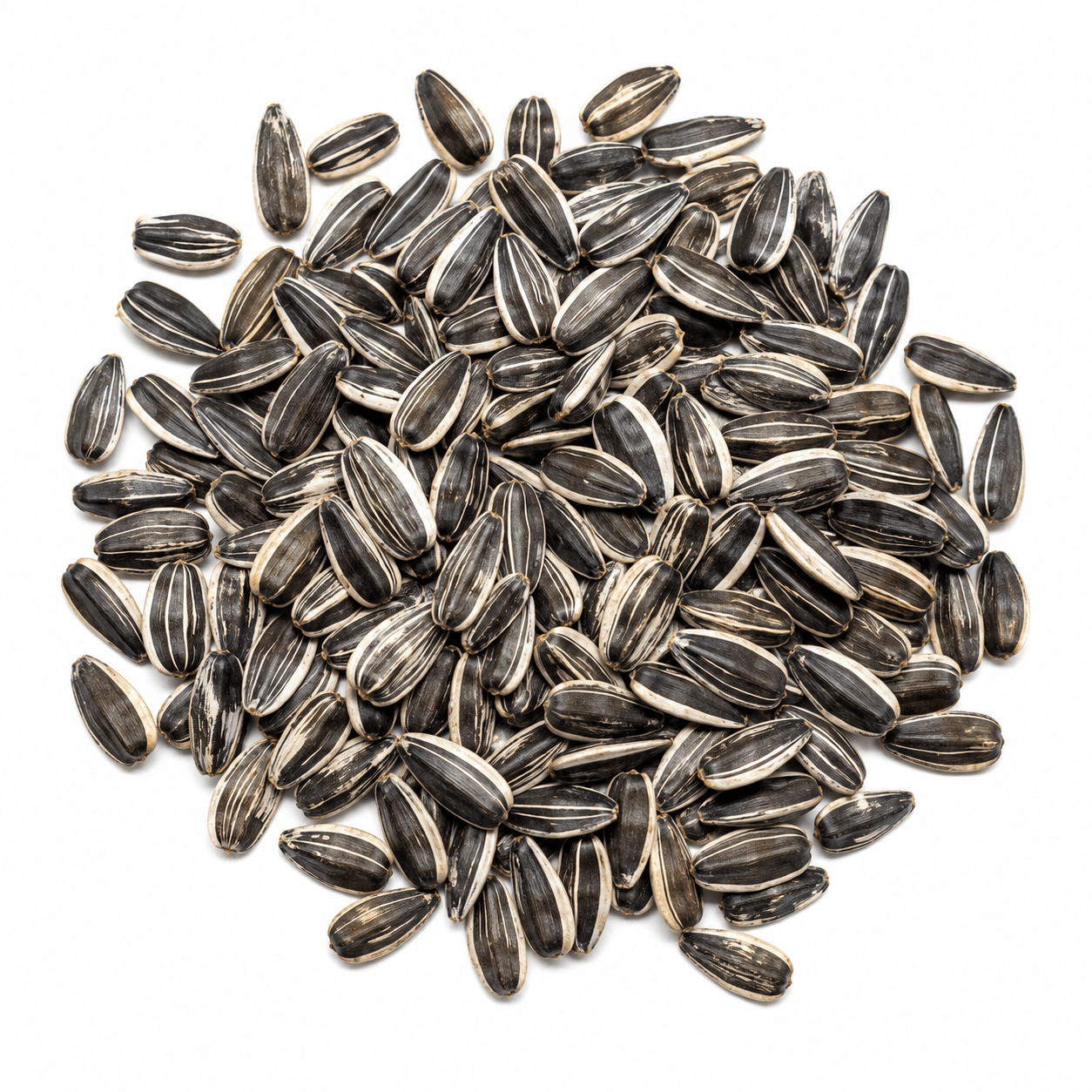 Sunflower Red & Brown Seeds – Desi Erra Podduthirugudu Variety | Suryakanti | High Germination for Home Gardening - Vanashree Organics